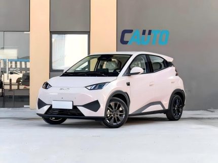 BYD seagull mini car
