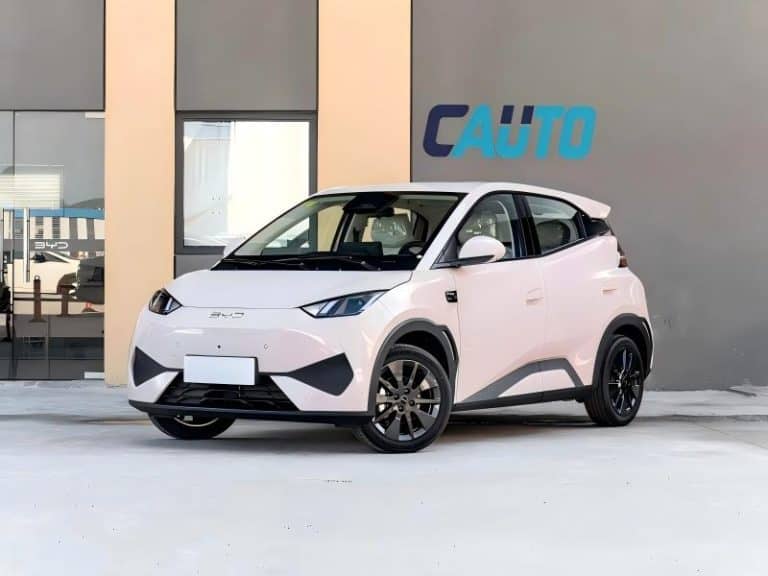 BYD seagull mini car